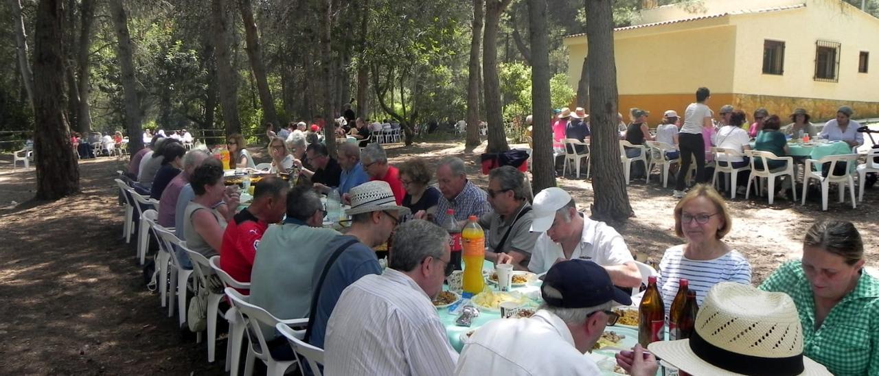 L&#039;activitat de les paelles de la Festa de la primavera.