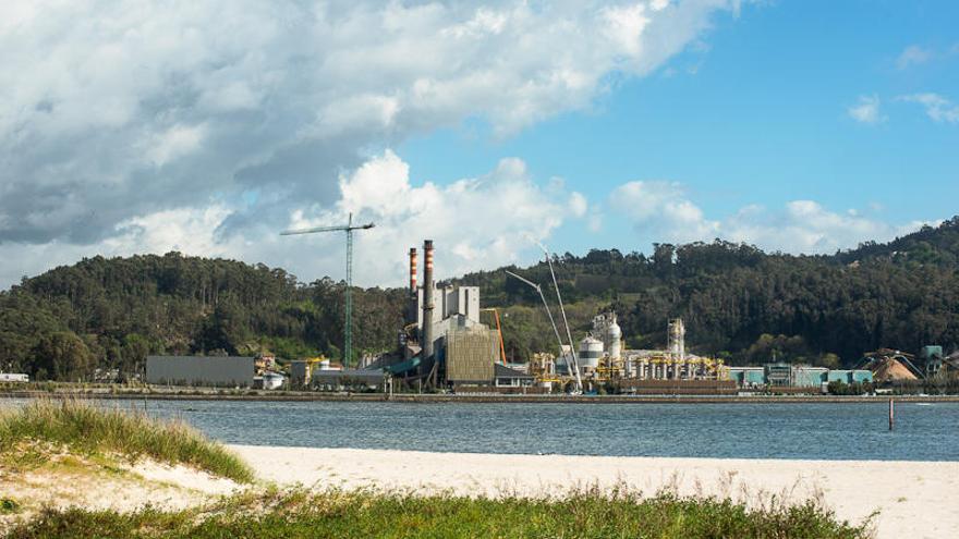 Biofábrica de Ence en Pontevedra.