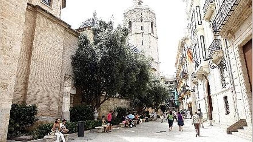 Olivos de gran porte y los jardincillos adyacentes que la Seo quiere eliminar.