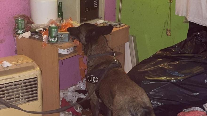 Desarticulan un punto de droga en Santa Cruz de Tenerife donde vivían dos menores en condiciones de insalubridad extrema