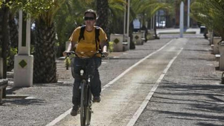 La nueva vía se habilitó en mayo en el bulevar.