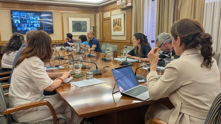 Sanidad y comunidades aprueban los criterios de reparto de 39 millones para salud mental