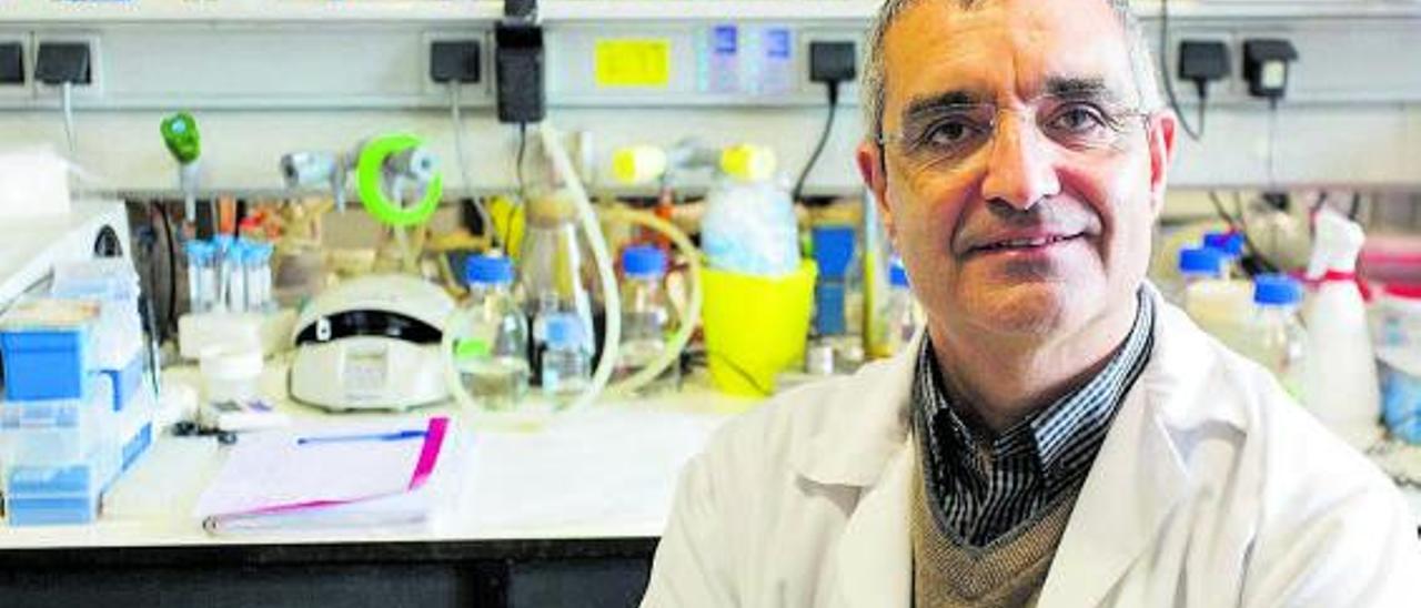 El investigador gallego especializado en cáncer Xosé Bustelo. |   // LOC