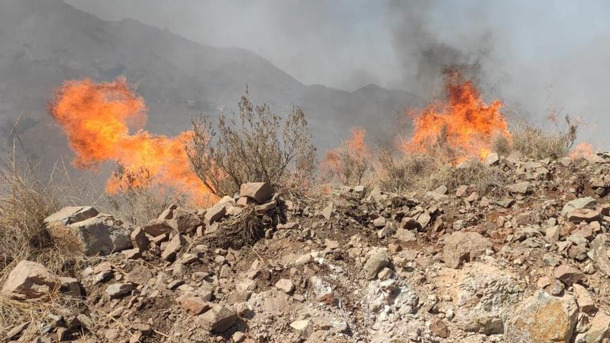 Un incendio forestal en la Sierra de Enmedio de Lorca arrasa más de 10.000 metros