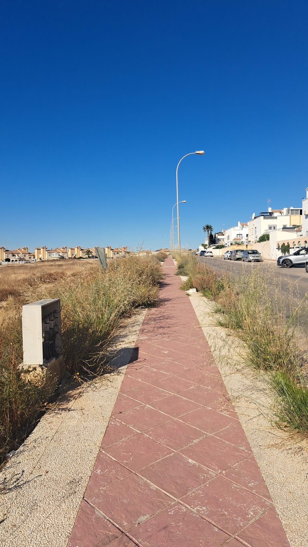 Una jungla sobre el asfalto de Orihuela Costa