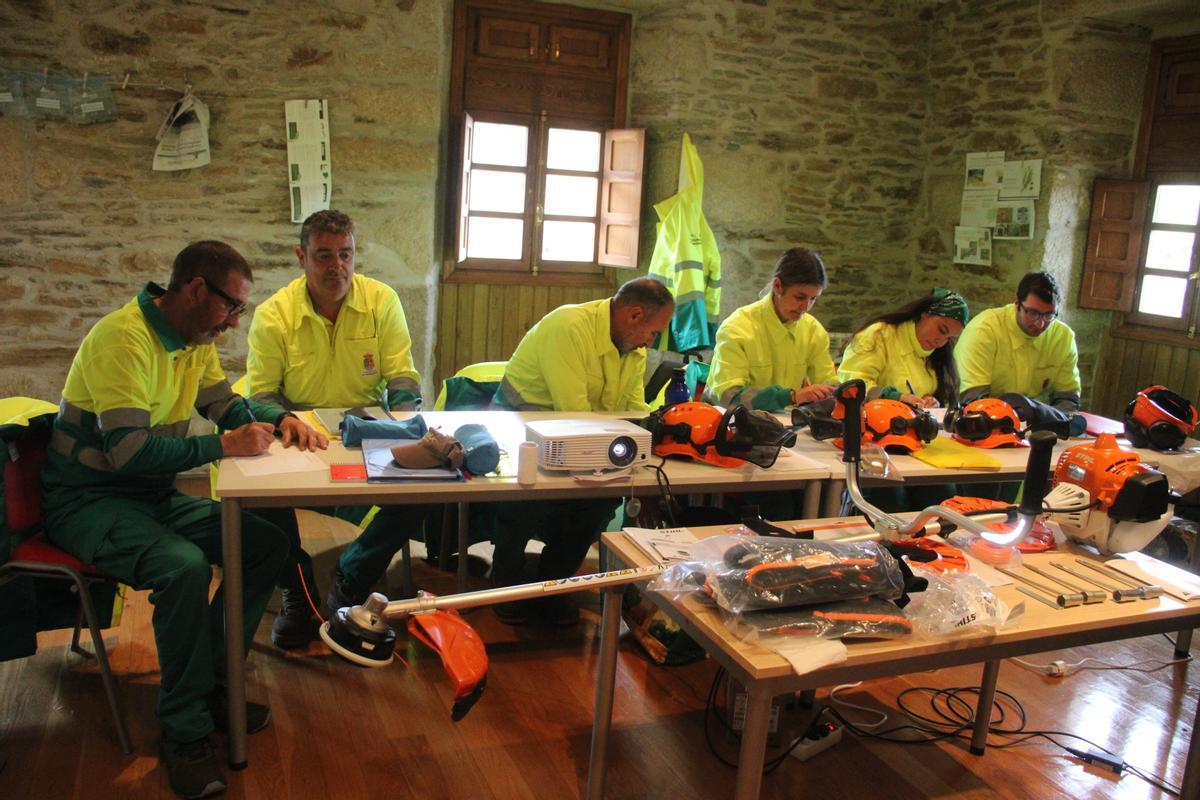 Programa Público Mixto de Empleo y Formación de Hermisende