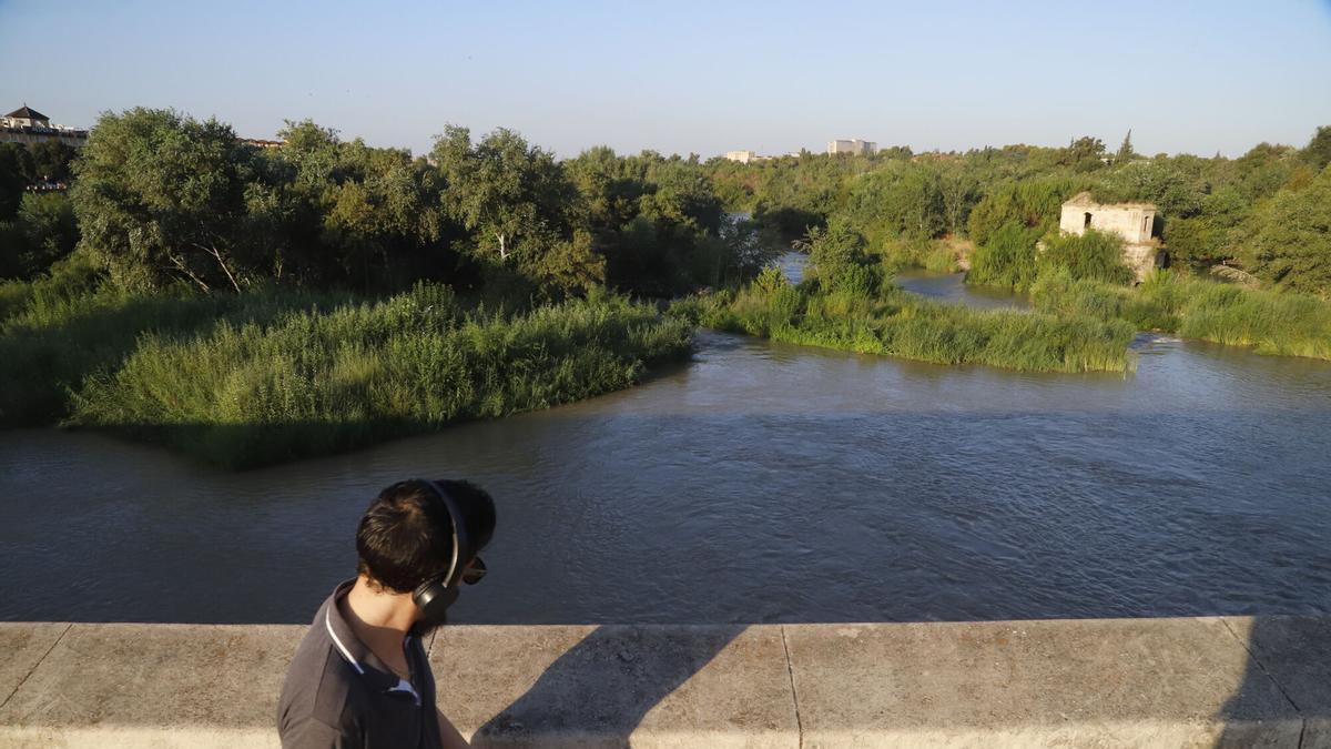 Imagen del río Guadalquivir a su paso por Córdoba, elemento en torno al cual el Ayuntamiento ha configurado su proyecto para Edilquivir.