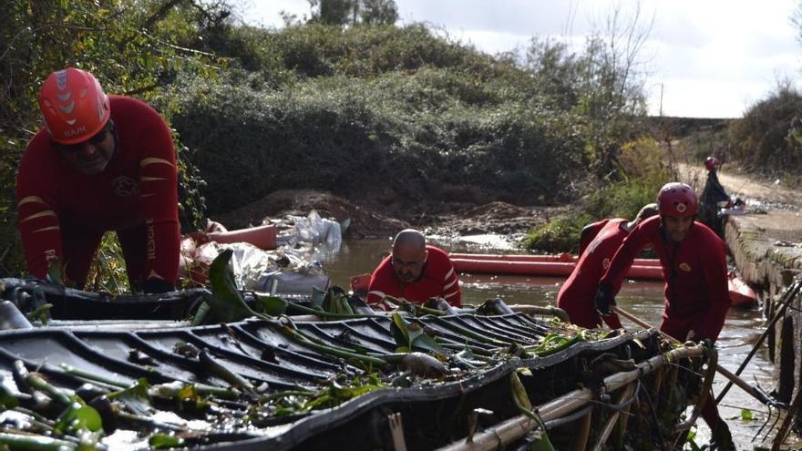 Noventa voluntarios de Cruz Roja colaboran con la UME en la extracción de camalote en el Guadiana