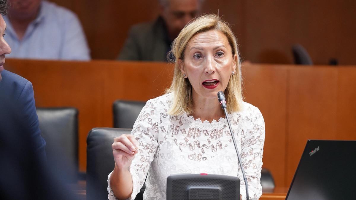 La diputada del PP Susana Cobos.