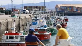 Lonja Gijón subasta en dos días 145.000 kilos de bonito, tras volver a localizarse la especie en el Golfo de Vizcaya