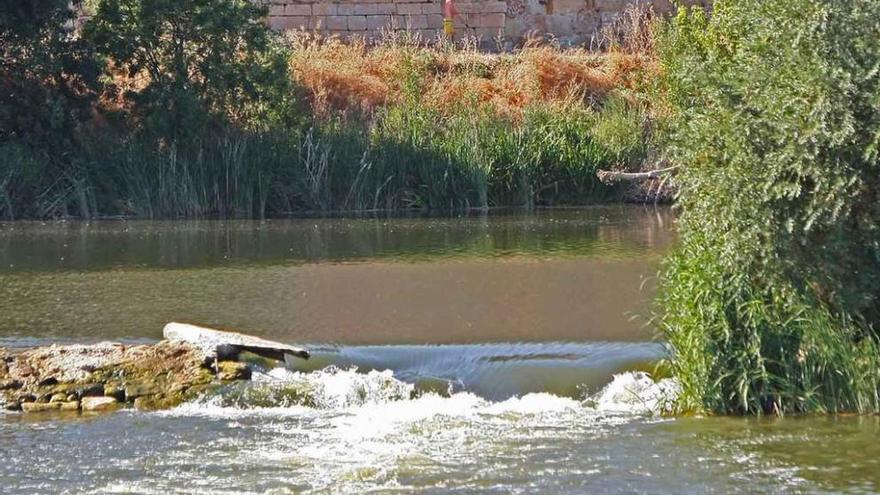 El estado de deterioro de los azudes del río Duero a su paso por la capital suscita críticas