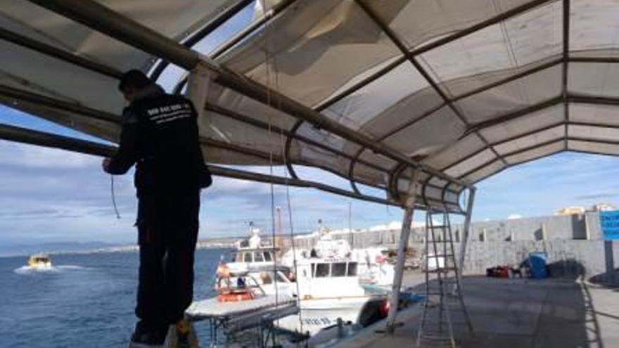 El Ayuntamiento instala un nuevo toldo en el muelle de Tabarca en pleno diciembre