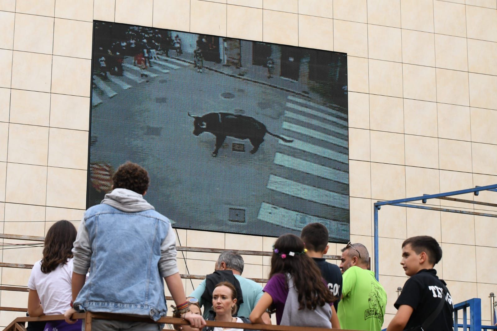 Exhibición de cuatro toros de Partida Resina en Onda