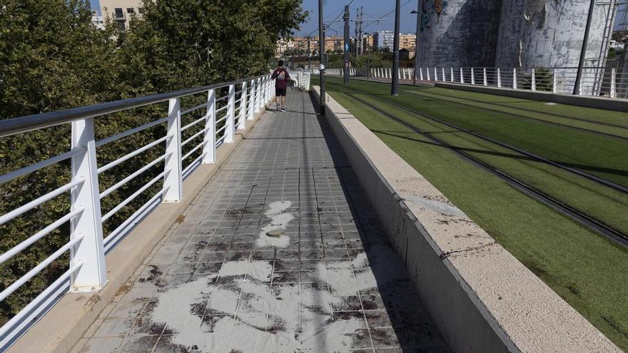 El forense, en el juicio por el crimen del puente de las Moreras: "Lo degolló con tanta fuerza e intensidad que incluso melló una vértebra con el filo"