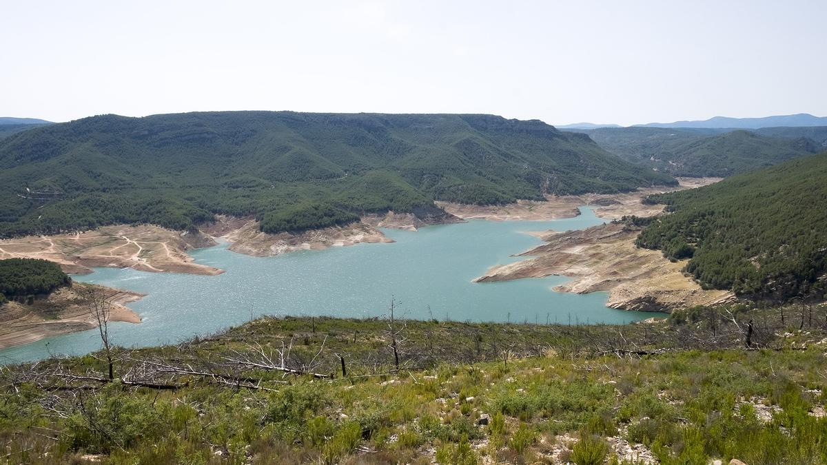 Un pantano en una imagen de archivo.