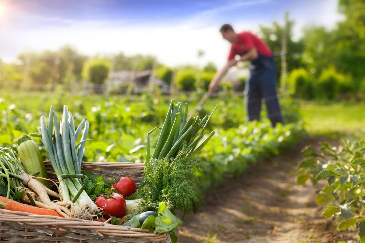 Piden al Gobierno que potencie la agricultura sin plaguicidas