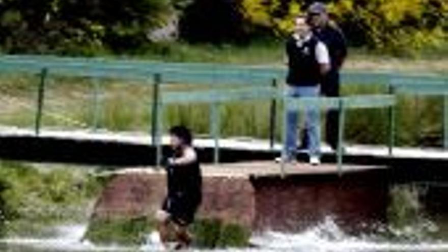 Maradona se cae al agua al ceder una plataforma durante un partido de golf