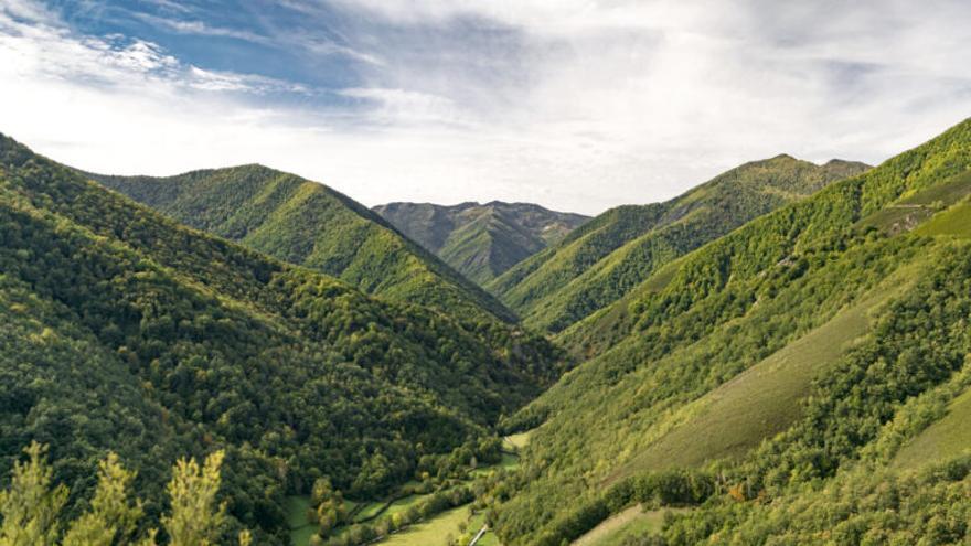 Día Mundial del Bosque: Descubre algunos de los más importantes de España