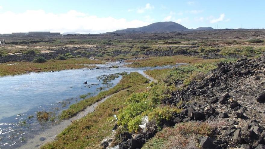 Una investigación de la Universidad de Oviedo ayuda a proteger el patrimonio natural de Fuerteventura