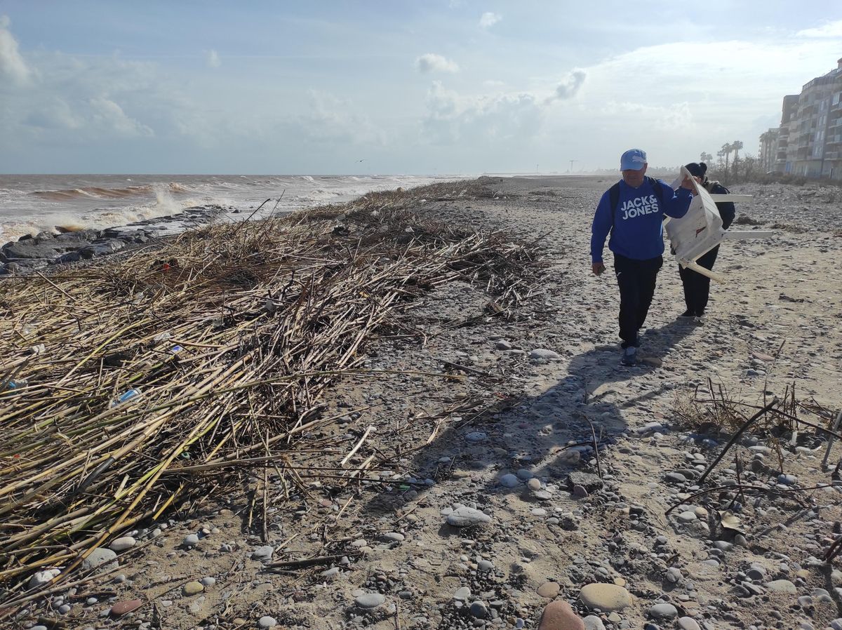 Cañas amontonadas en la playa de Burriana tras las intensas lluvias de hace dos semanas.