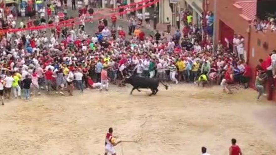 VÍDEO | Fiestas del Toro en Benavente: Siguiñuelo finaliza el recorrido