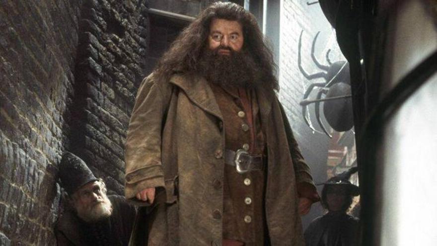 L&#039;actor Robbie Coltrane a la saga Harry Potter