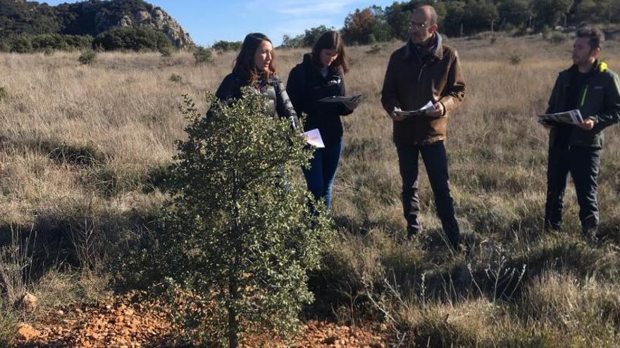 Visita del CTFC a una plantació de tòfones