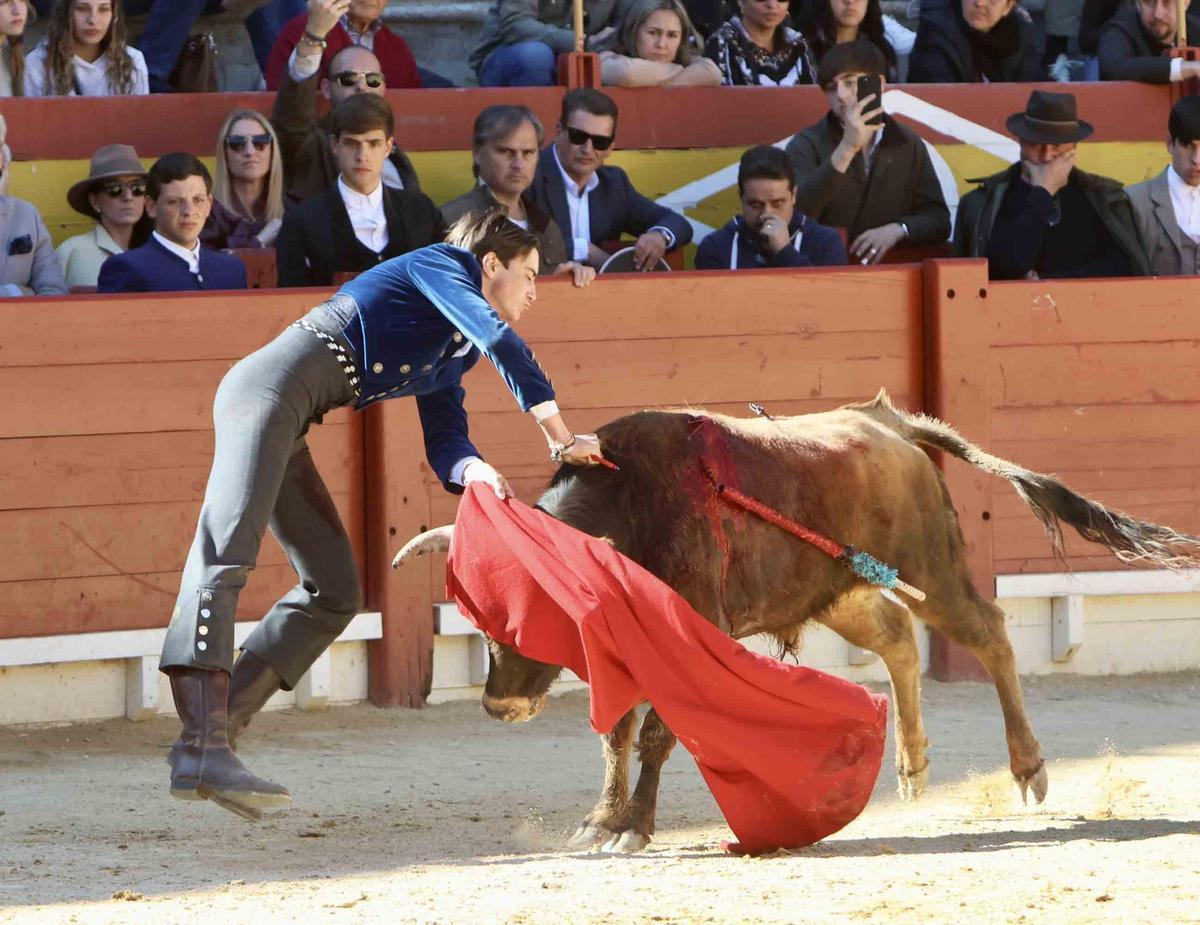 Éxito artístico en el V certamen José María Manzanares de Alicante