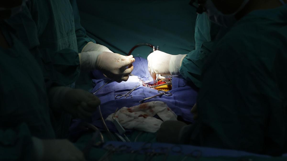 Un hígado de cerdo modificado genéticamente podría funcionar trasplantado en una persona