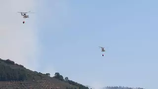 Declaran el nivel 1 en un incendio forestal en Benquerencia de la Serena