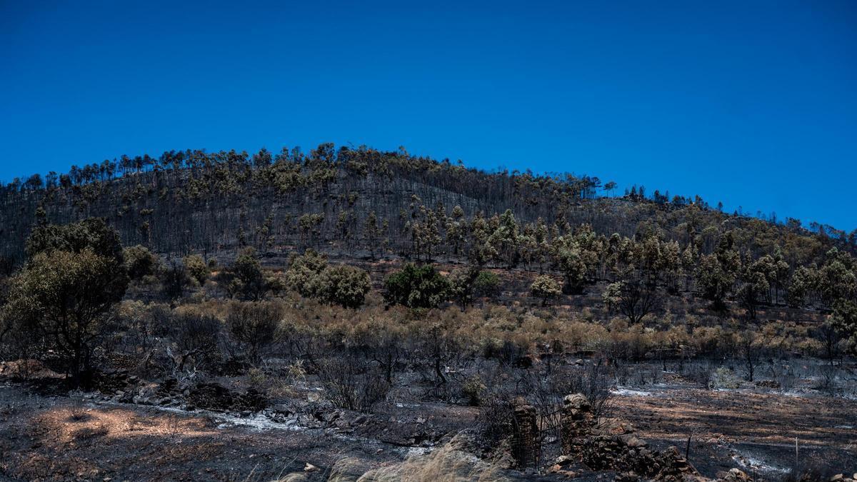 Así ha quedado la zona de Casas de Millán tras el paso del incendio