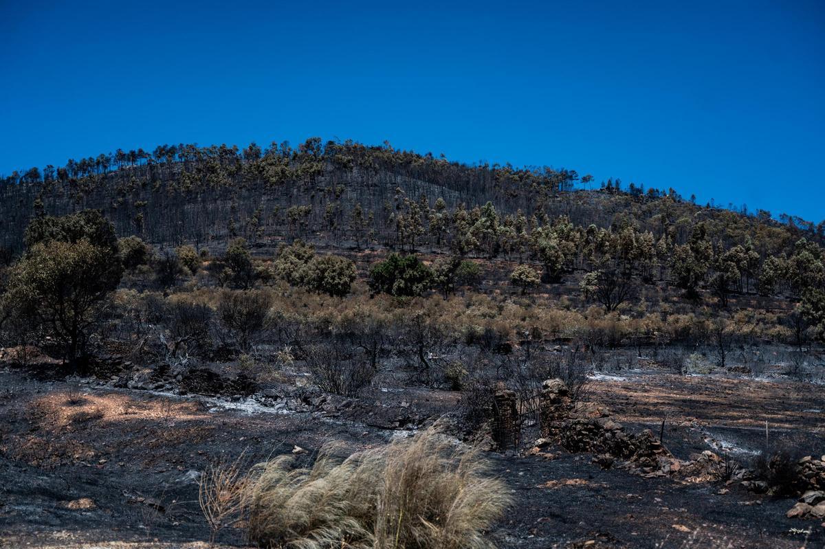 Fotogalería | Casas de Millán: un día después del incendio Fotogalería | Casas de Millán: un día después del incendio