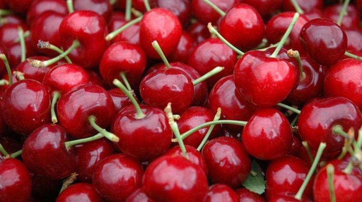 Aragón será este año la primera productora de cereza y guinda con 38.868 toneladas