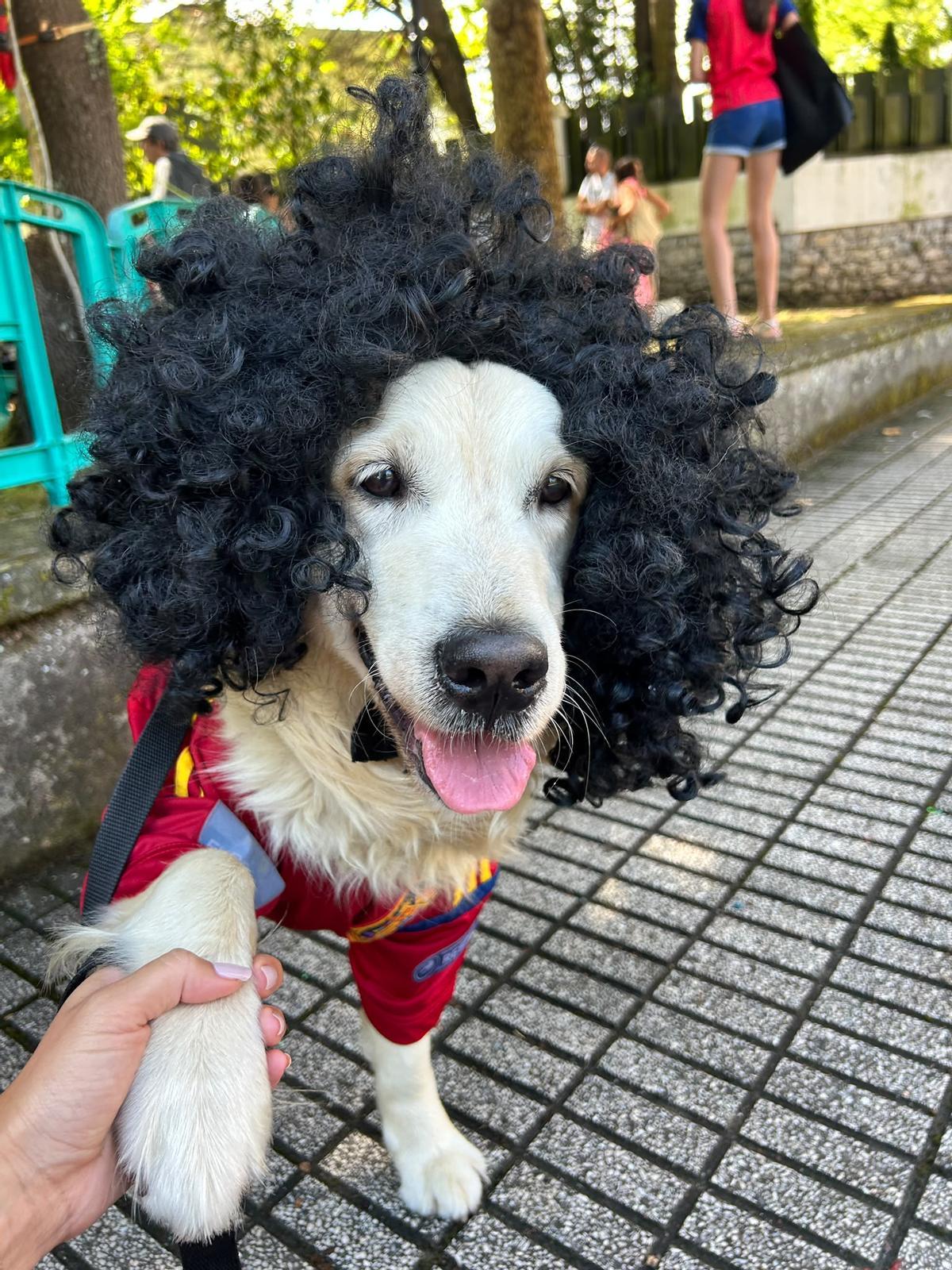 Cucurella, la perra que enamora a Somió