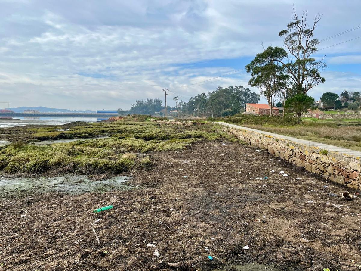 La ensenada de Corvillón, donde se sitúa el Muíño da Seca de Cambados, está plagado de residuos de plástico