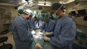 La cirugía de los párpados y la rinoplastia son las más solicitadas por los varones.
