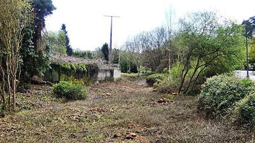 Imagen de la zona talada por Fenosa en el parque público de Liáns en 2017.