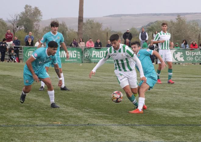 El Córdoba CF B y el CD Pozoblanco de Tercera RFEF, en imágenes