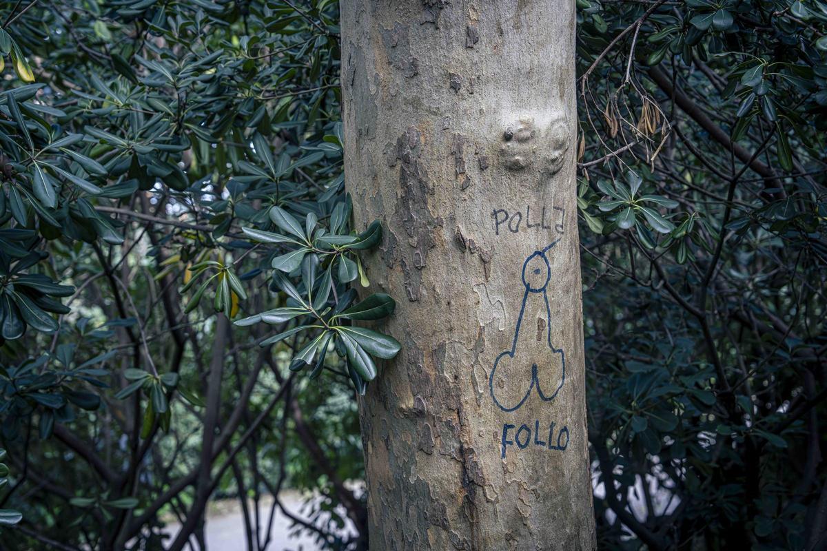 Un dibujo en un árbol de Montjuïc, zona de 'cruising'.