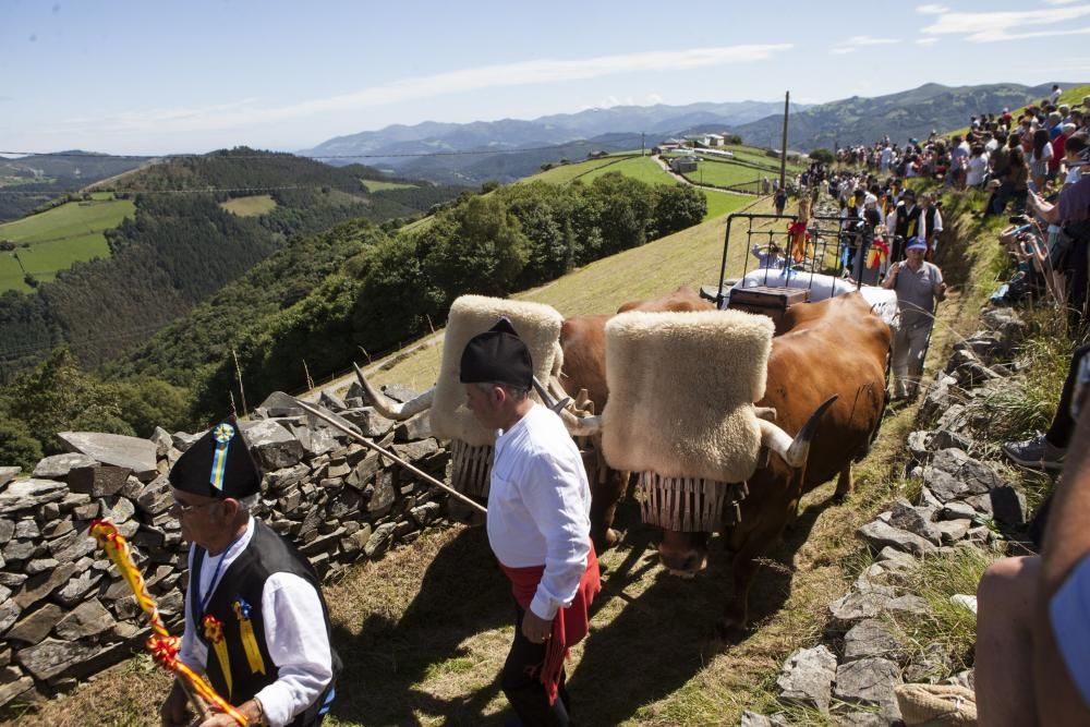 Boda vaqueira en Ariestebano