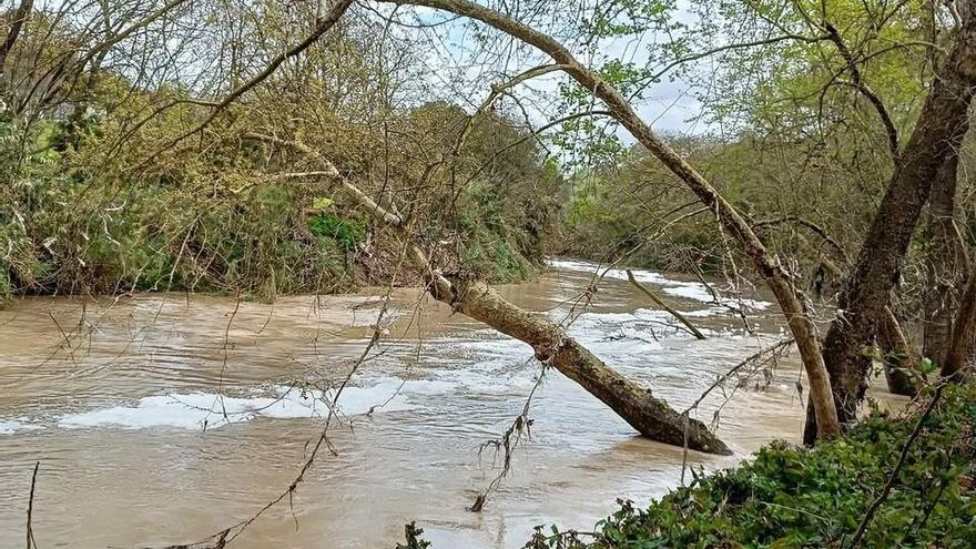 El río Guadaira rebaja su nivel a amarillo tras un riesgo de desbordamiento en Arahal