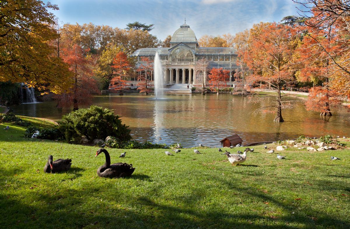 El Palacio de Cristal en el parque del Buen Retiro