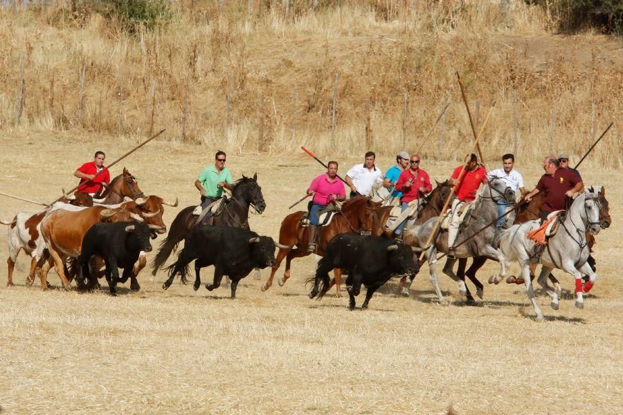 Fiestas en Zamora: Espantes en Fuentelapeña