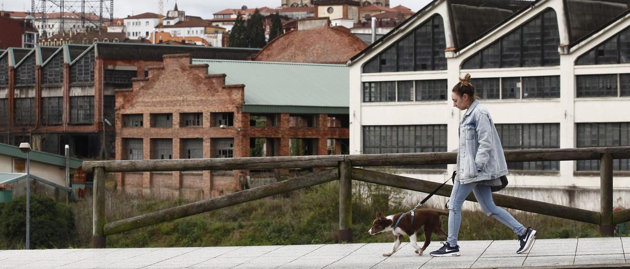 La Fábrica de Armas de La Vega, vista desde Ángel Cañedo