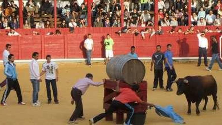 Jóvenes citan al novillo durante una fuente de vino M. J. C.