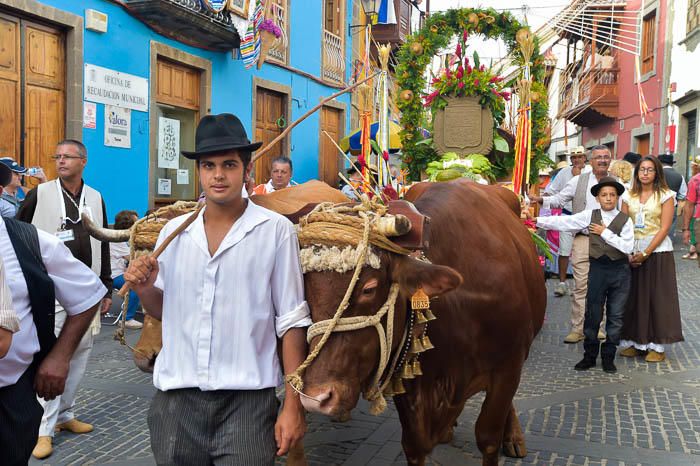 Carretas y grupos en la romería del Pino