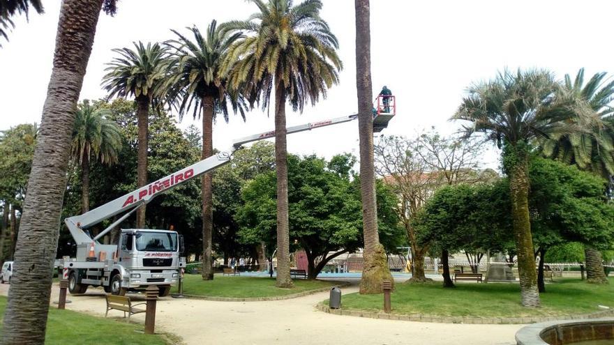 Fumigación en Las Palmeras