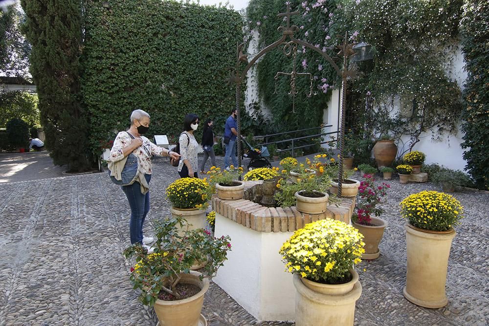 Viana, un palacio de puertas Abiertas