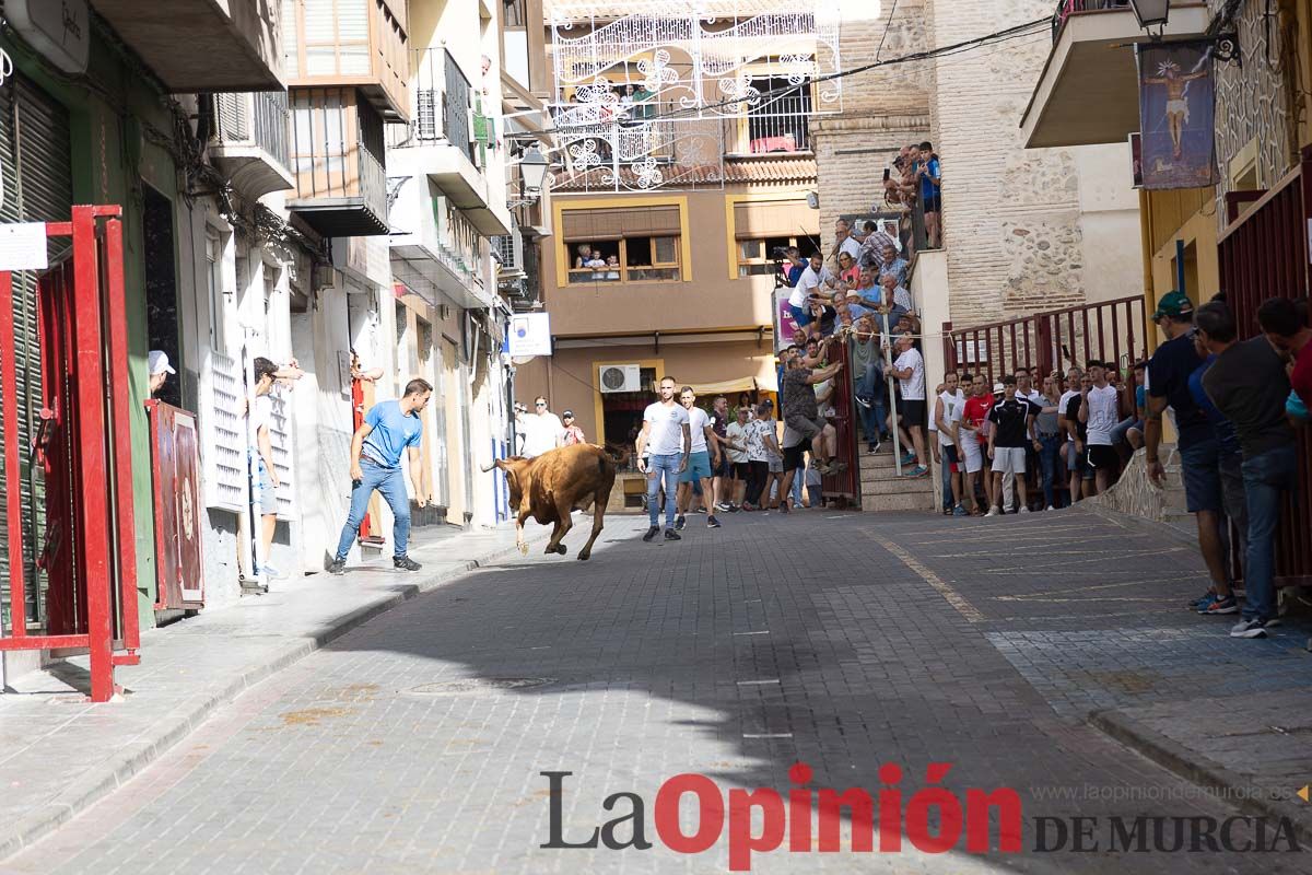 Séptimo encierro de las Fiestas de Moratalla