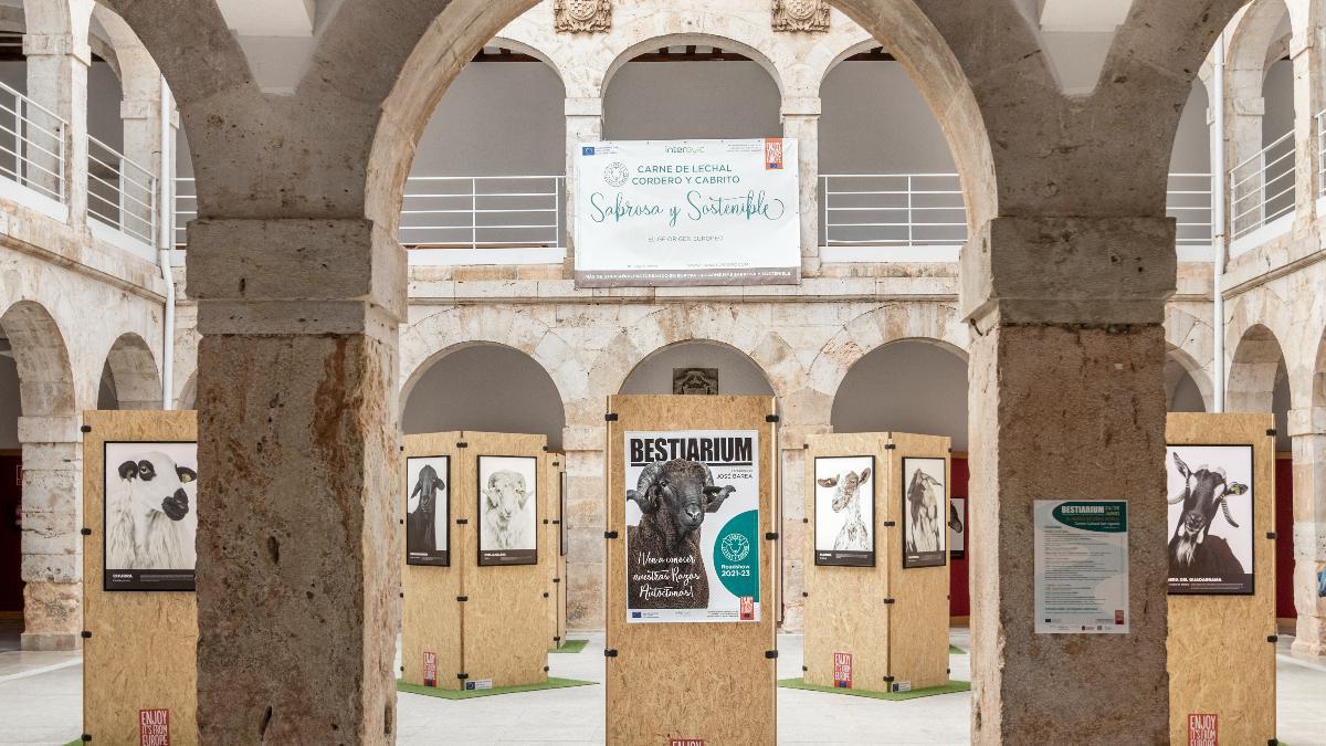 Bestiarium convierte la visita a Aranjuez en una escapada entre patrimonio, fotografía y gastronomía.